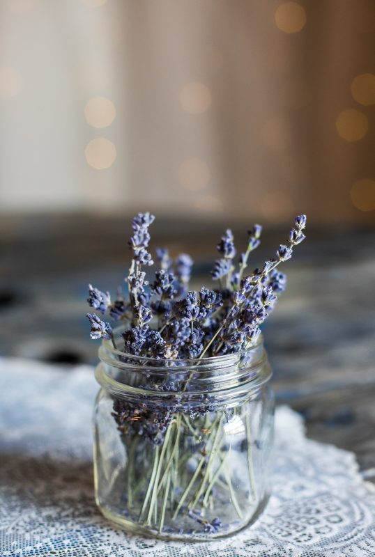 https://www.gurmecenter.com/aromatik-bitki-cesitleri/
