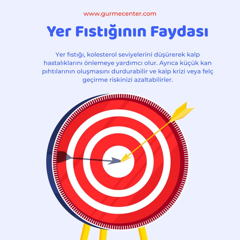 https://www.gurmecenter.com/yer-fistiginin-faydasi/
