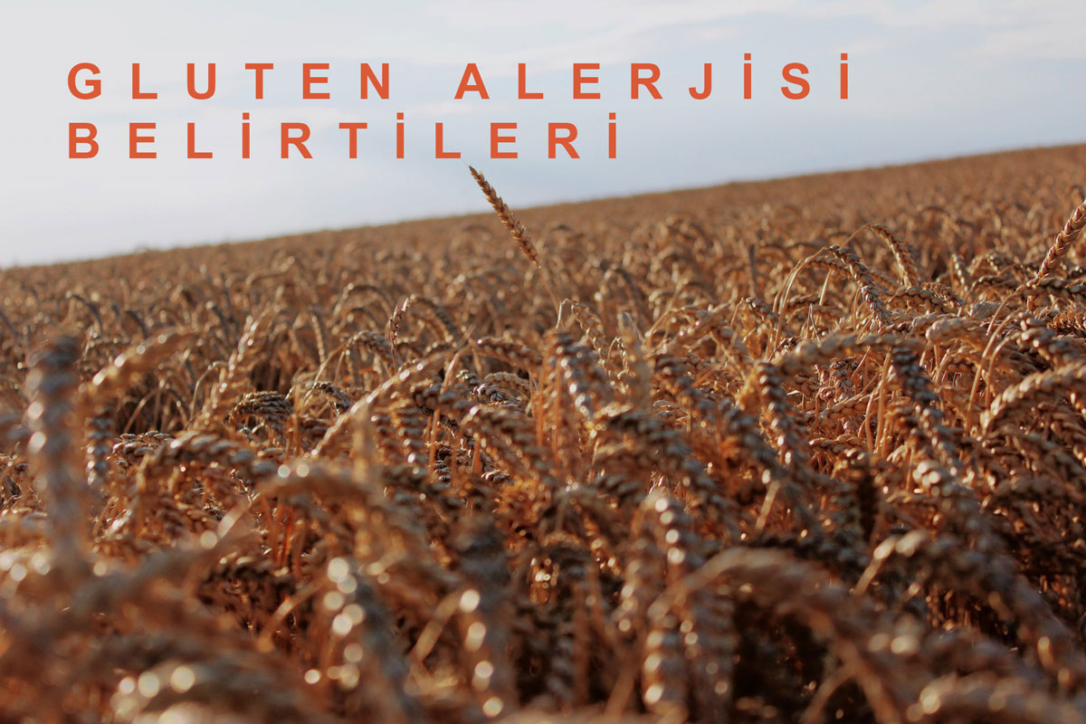 Gluten Alerjisi Belirtileri