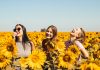 Serotonin eksikliği nedir