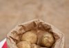 Filizlenmiş patates yemek zararlı mı https://www.gurmecenter.com/filizlenmis-patates-yemek-zararli-mi/