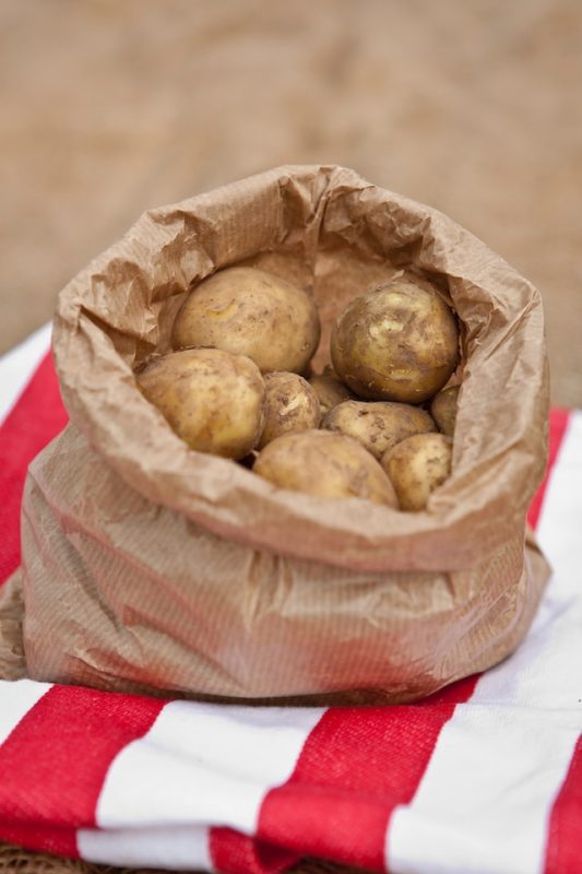 https://www.gurmecenter.com/filizlenmis-patates-yemek-zararli-mi/