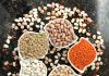 Bitkisel Protein Kaynakları Nelerdir