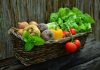 What type of diet is best for fibromyalgia https://www.gurmecenter.com/what-type-of-diet-is-best-for-fibromyalgia/