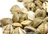Aquadis Kum Midyesi nedir